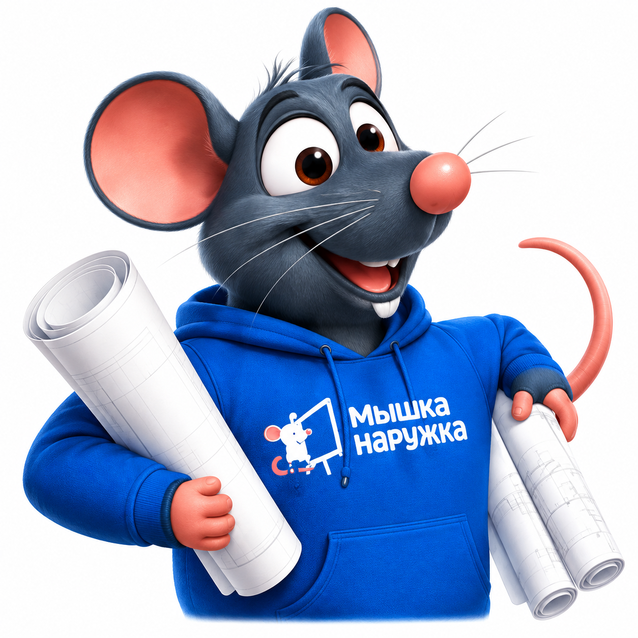 Мышка с чертежами